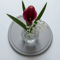Diatomite plant pad, Dark Grey