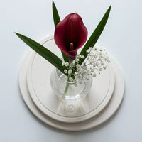 Diatomite plant pad, Off-White